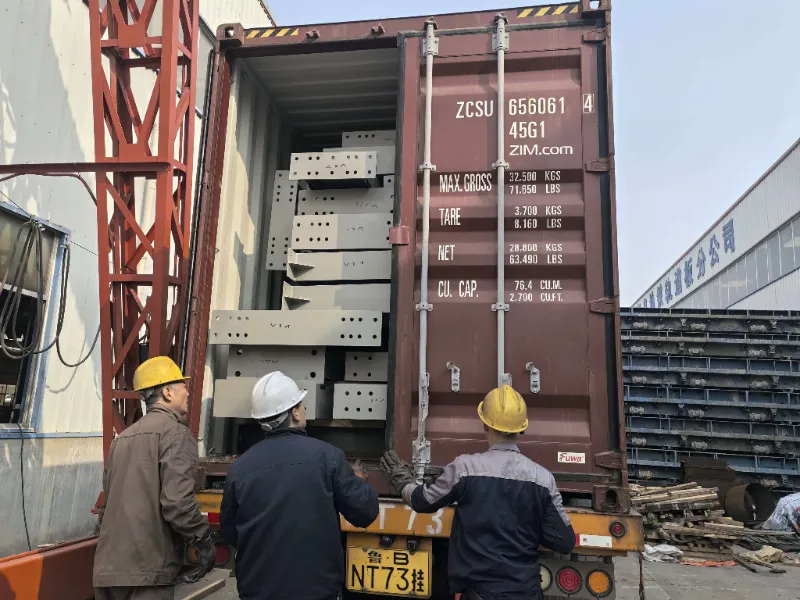 Teraskonstruktsiooni komponendid suuremahulise teraselaoprojekti jaoks Tšiilis on edukalt tarnitud, toetades kohaliku logistikakeskuse ehitamist